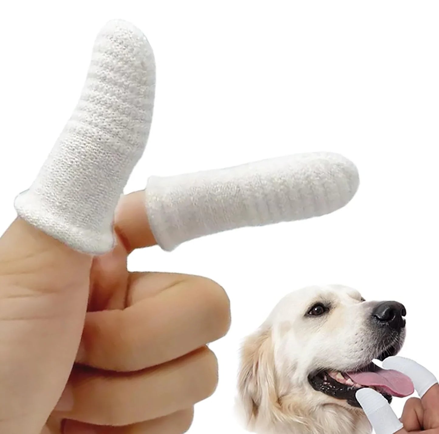 White pet grooming finger toothbrushes on hand, golden retriever dog in background