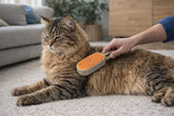 Person brushing a long-haired tabby cat with an orange pet grooming brush on carpet