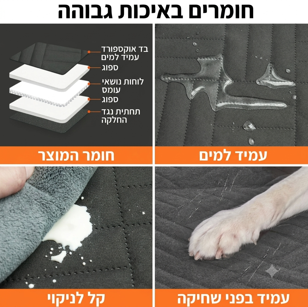 נסיעה בענן