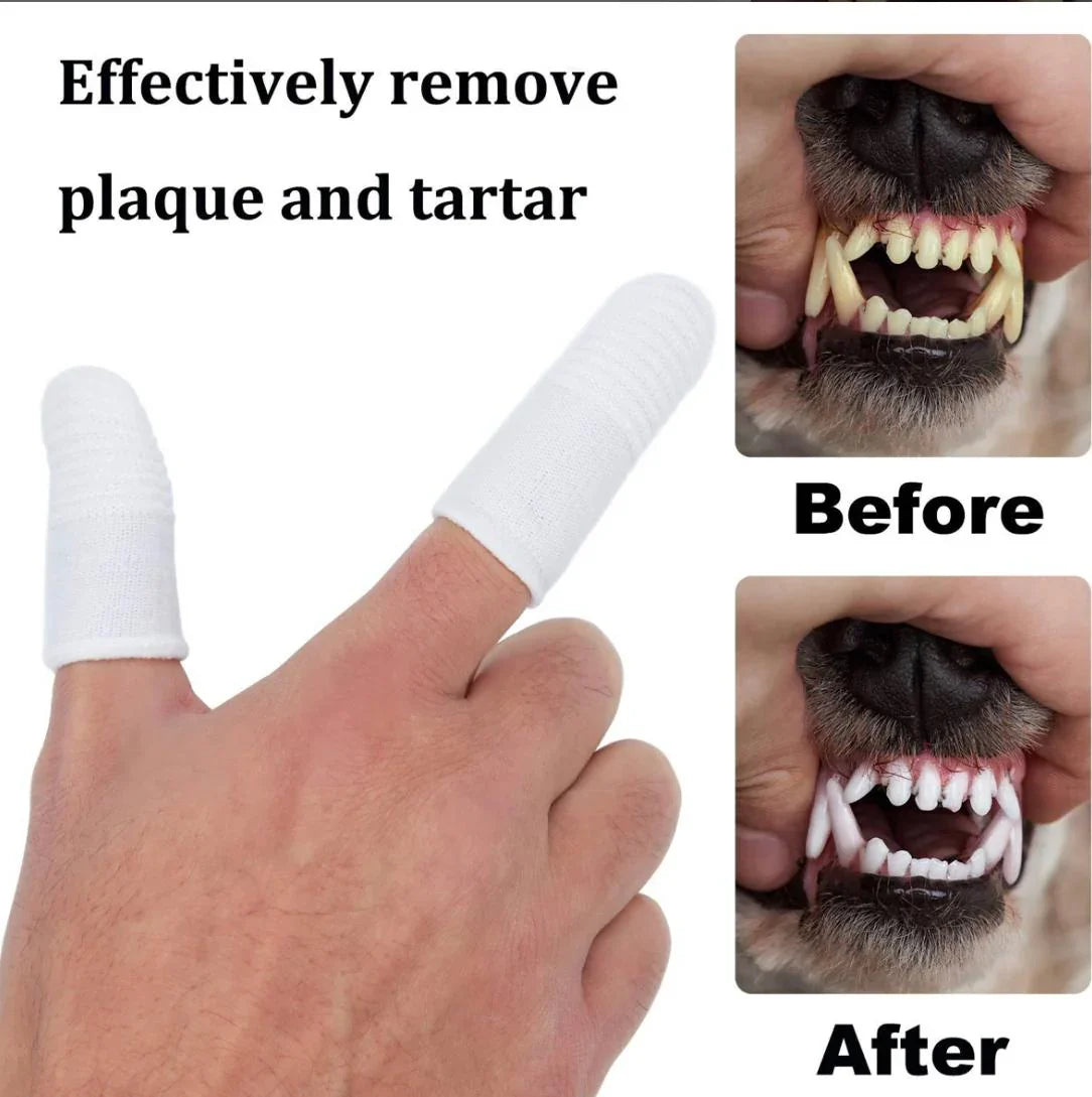 Pet dental finger brush removes plaque, before and after dog teeth cleaning results
