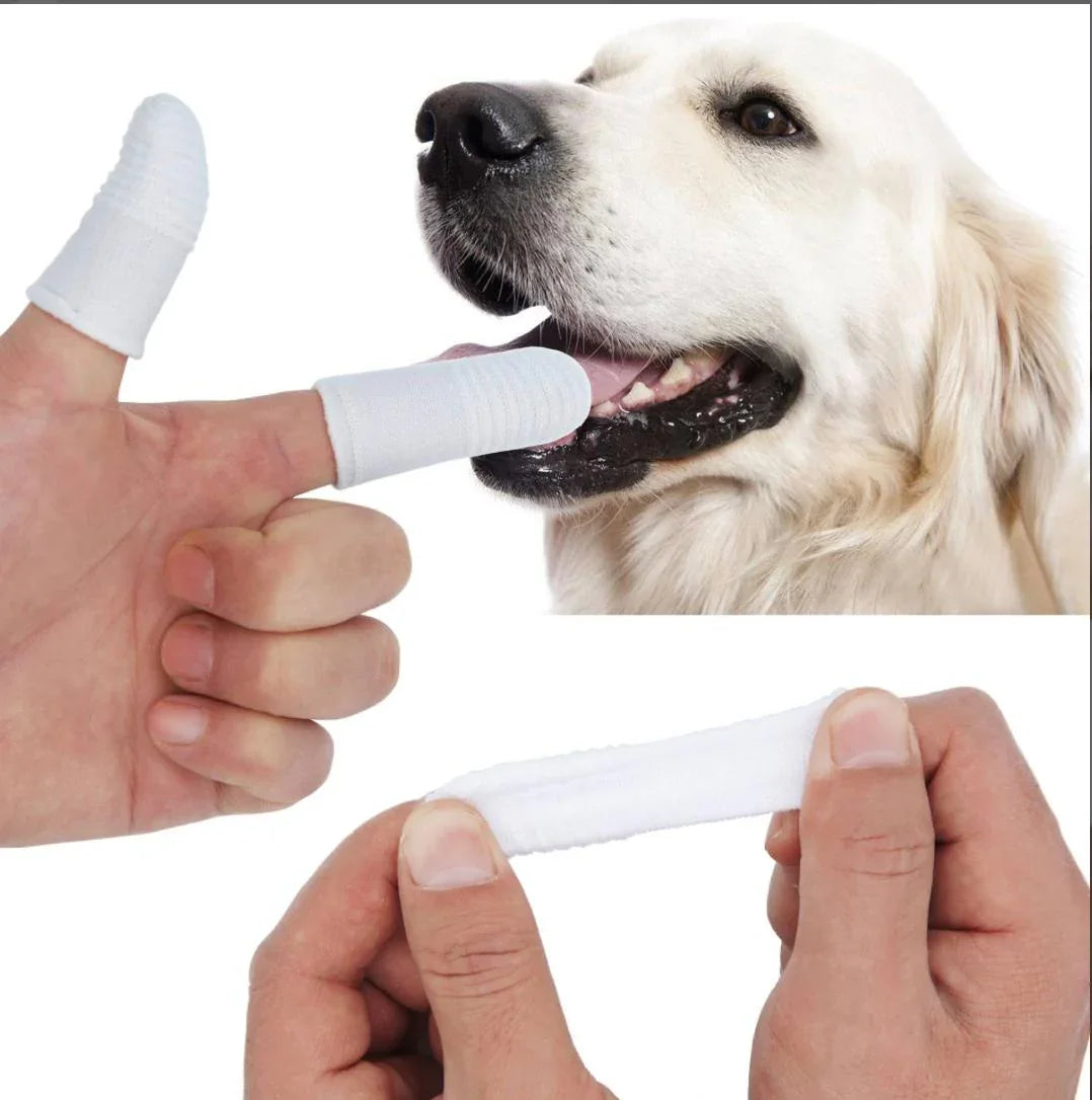 Finger toothbrush cleaning a dog's teeth, pet dental care tool demonstration