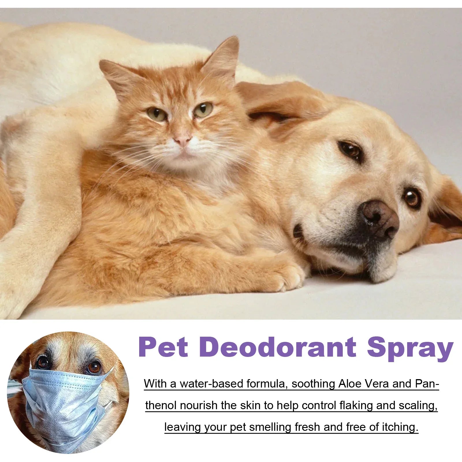 Orange cat and yellow dog cuddling, with pet deodorant spray product information below.