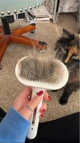Hand holding a pet grooming brush with cat hair, tortoiseshell cat in background