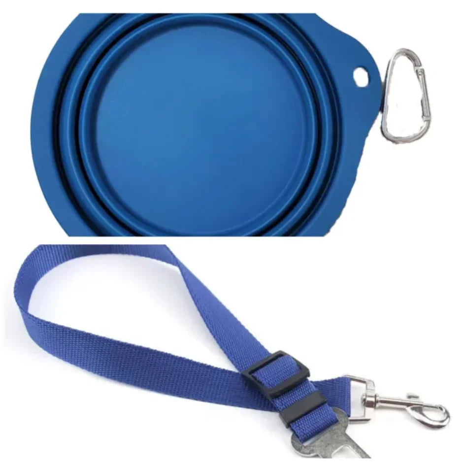 Blue collapsible pet travel bowl with carabiner and adjustable blue pet leash clip