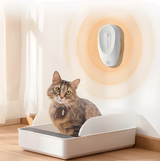 Tabby cat in modern litter box near automatic wall-mounted pet air freshener